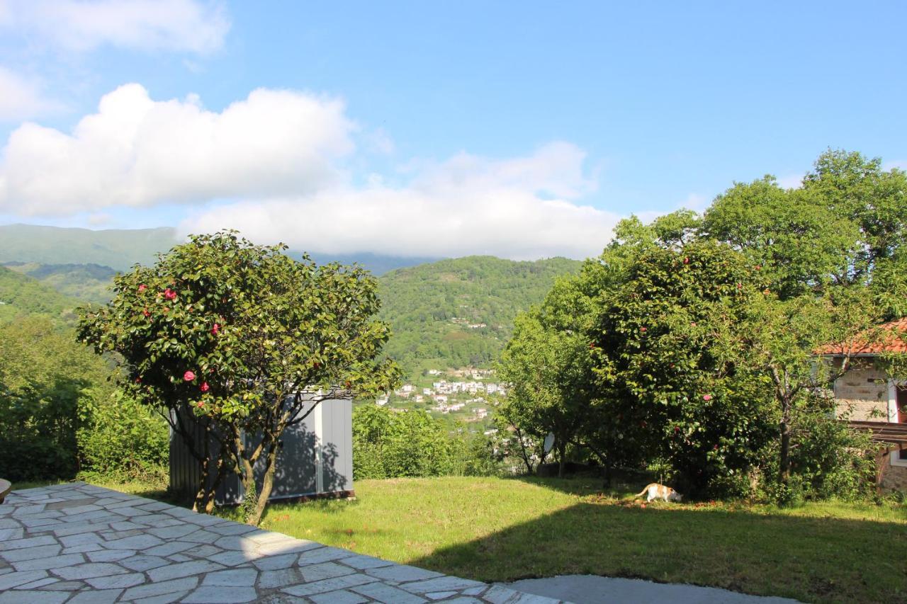 Camellia Guesthouse Anilio Pelion Zewnętrze zdjęcie